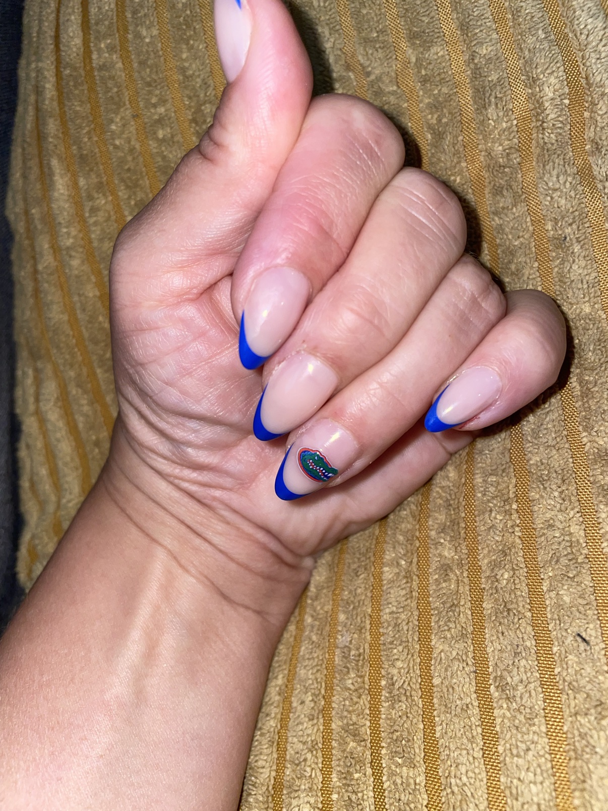 Glamnetic Florida Gators press-on nails worn in a close-up